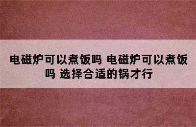 电磁炉可以煮饭吗 电磁炉可以煮饭吗 选择合适的锅才行